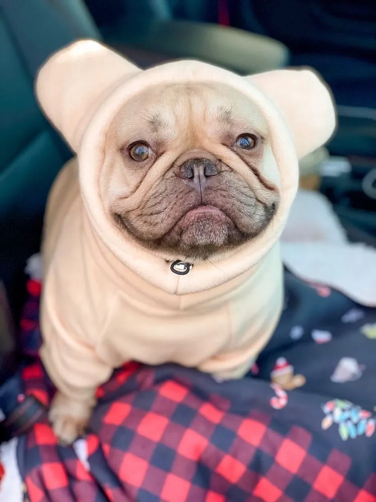 Frenchiestore Organic Dog Frenchie Ear Hoodie | Polar Bear