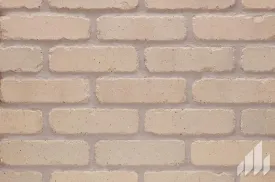 General Shale Thin Brick Cornerstore Flats
